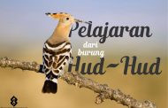Pelajaran Dari Hud Hud