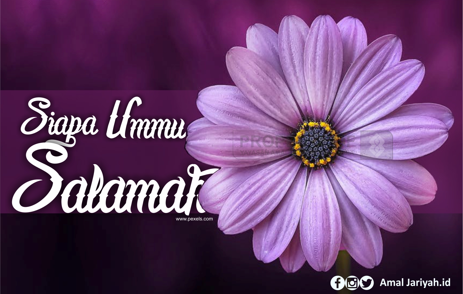 Siapa Ummu Salamah ?